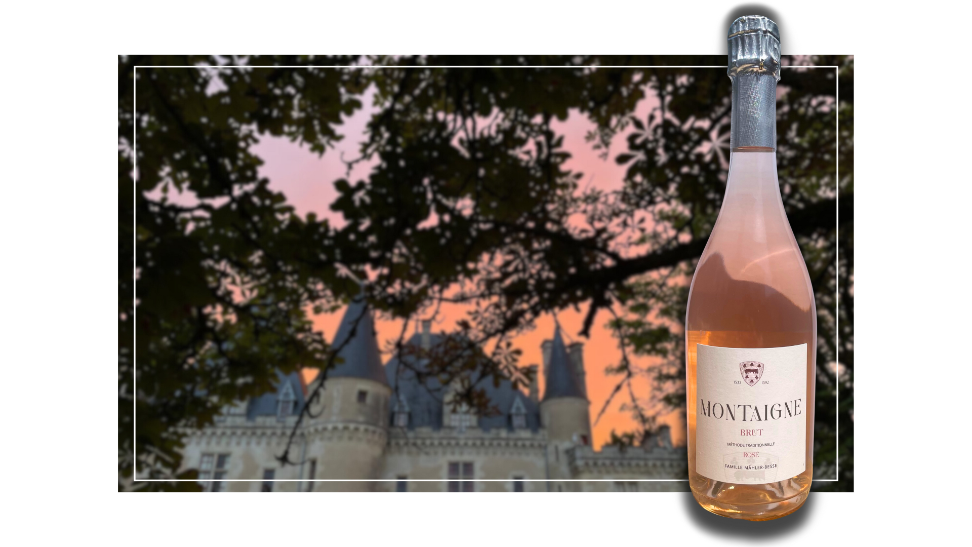 Rosé & Crémants