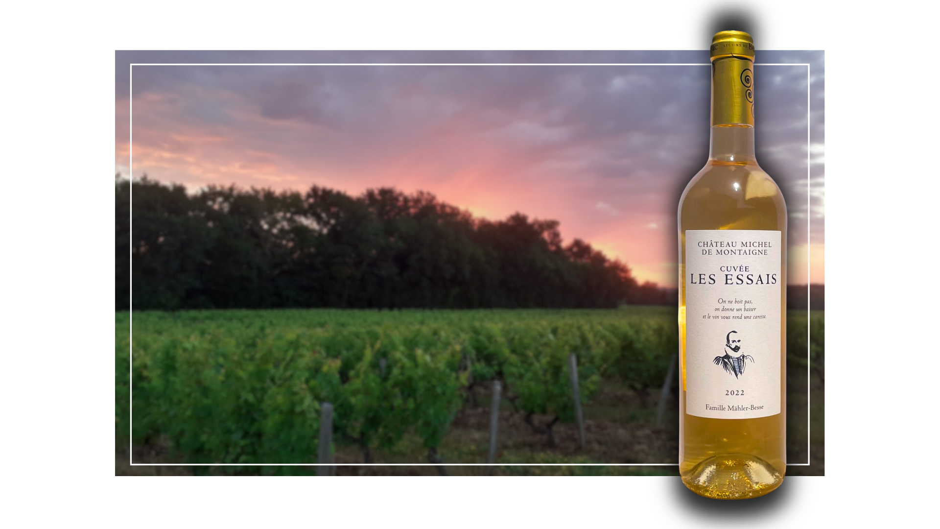 Vins blancs