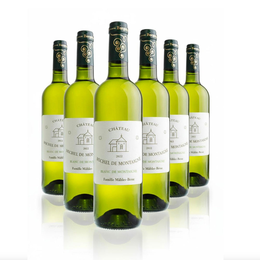 Offer Dry White wine "Tradition" 2022